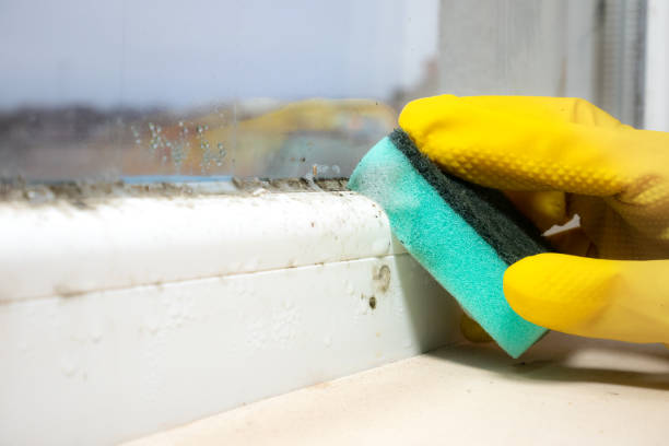 Best Mold Testing  in Huntington, UT