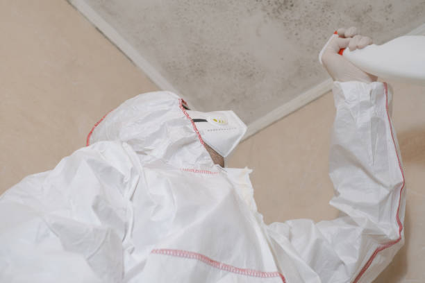 Best Crawl Space Mold Removal  in Huntington, UT
