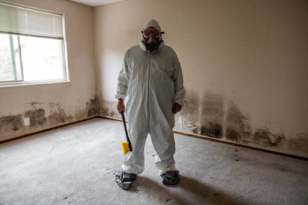 Best Affordable Mold Removal  in Huntington, UT