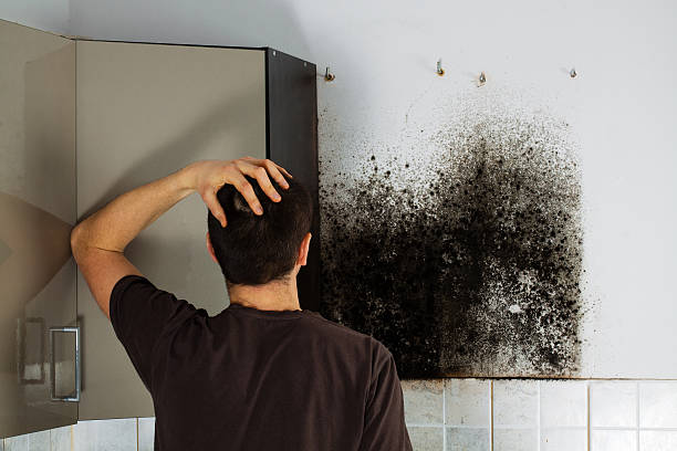 Best Mold Cleaning Services  in Huntington, UT